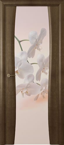 Буревестник-2 Орхидея