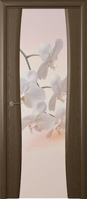 Буревестник-2 Орхидея