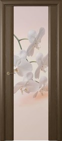 Шторм-3 Орхидея